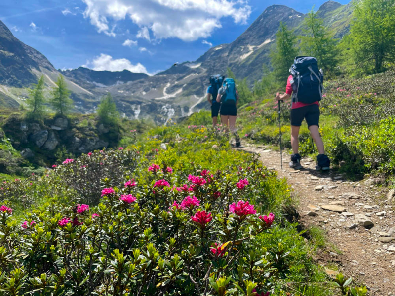 huttentocht-met-kinderen-in-oostenrijk-3-dagen-virgental-ost-tirol-route-tips-meer