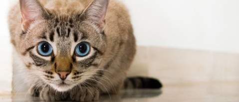 Onbewust: hoeveel doe je nu eigenlijk onbewust?