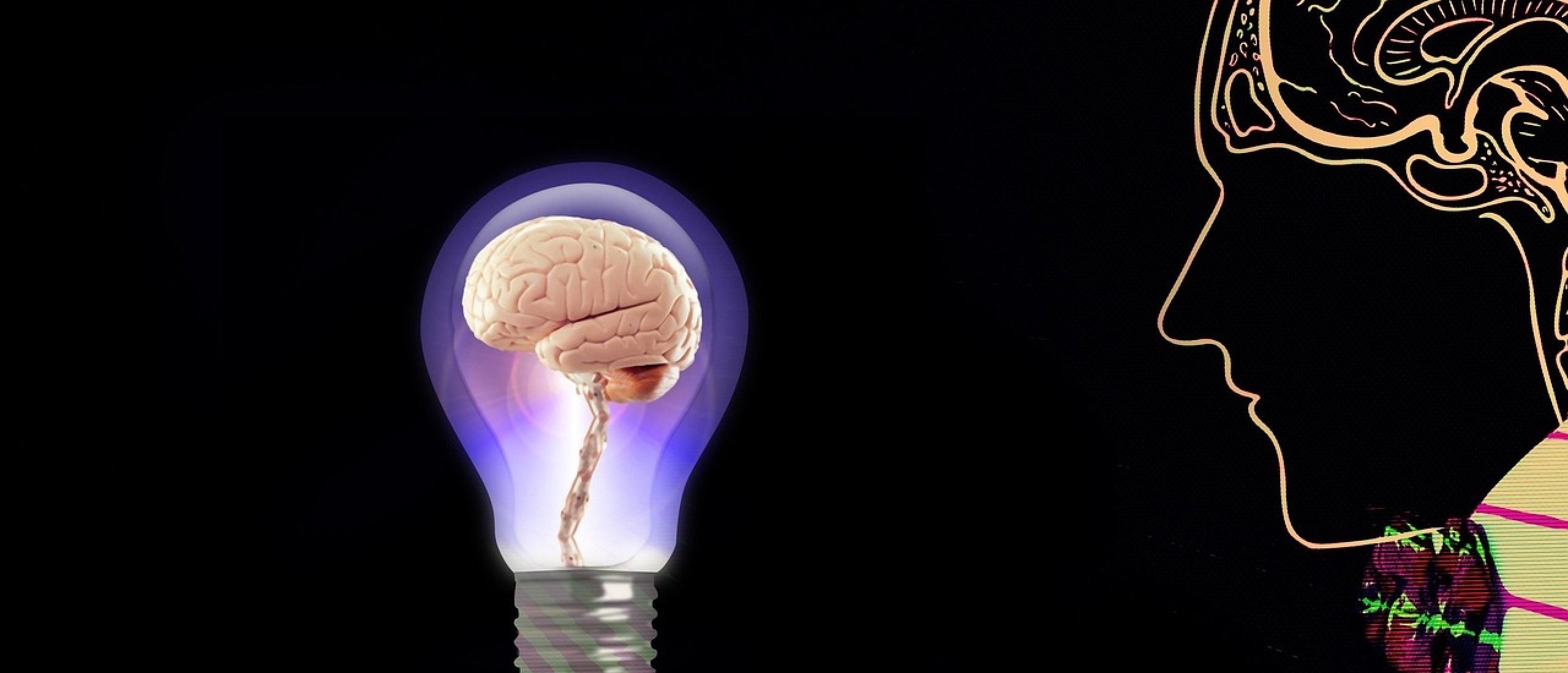 Wat is een gezonde angst