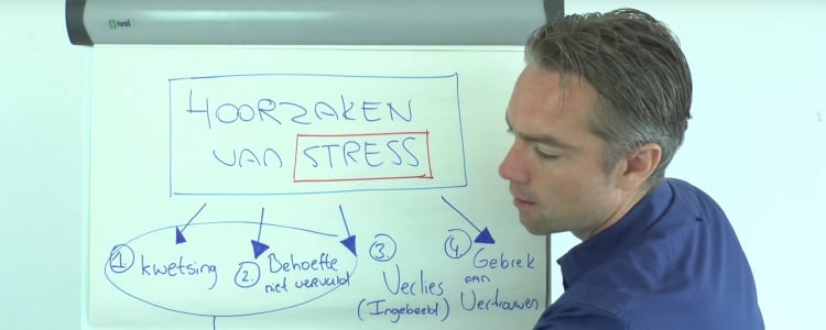 Ontdek de 4 oorzaken van emotionele stress!