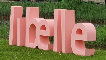 Groot roze Libelle logo in 3 D buiten bij tenten zomerweek
