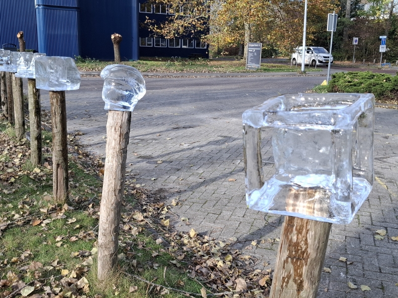 workshop ijssculpturen buiten op locatie workshop ijssculpturen teambuilding creatief