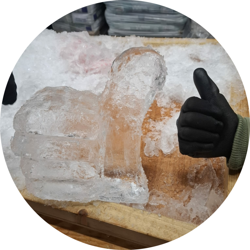 ijssculptuur duim resultaat ijssculptuur workshop deelnemer