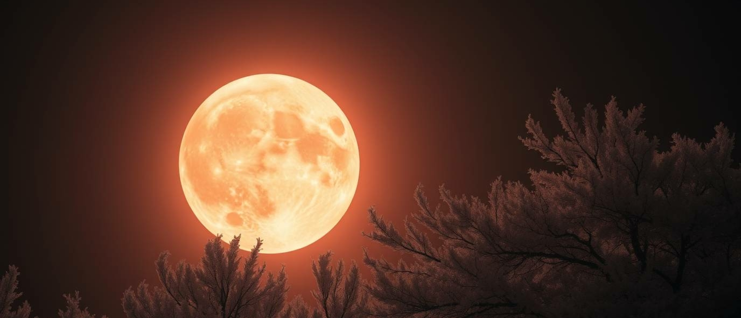 Slaap goed tijdens de volle maan – ook jij kunt het leren