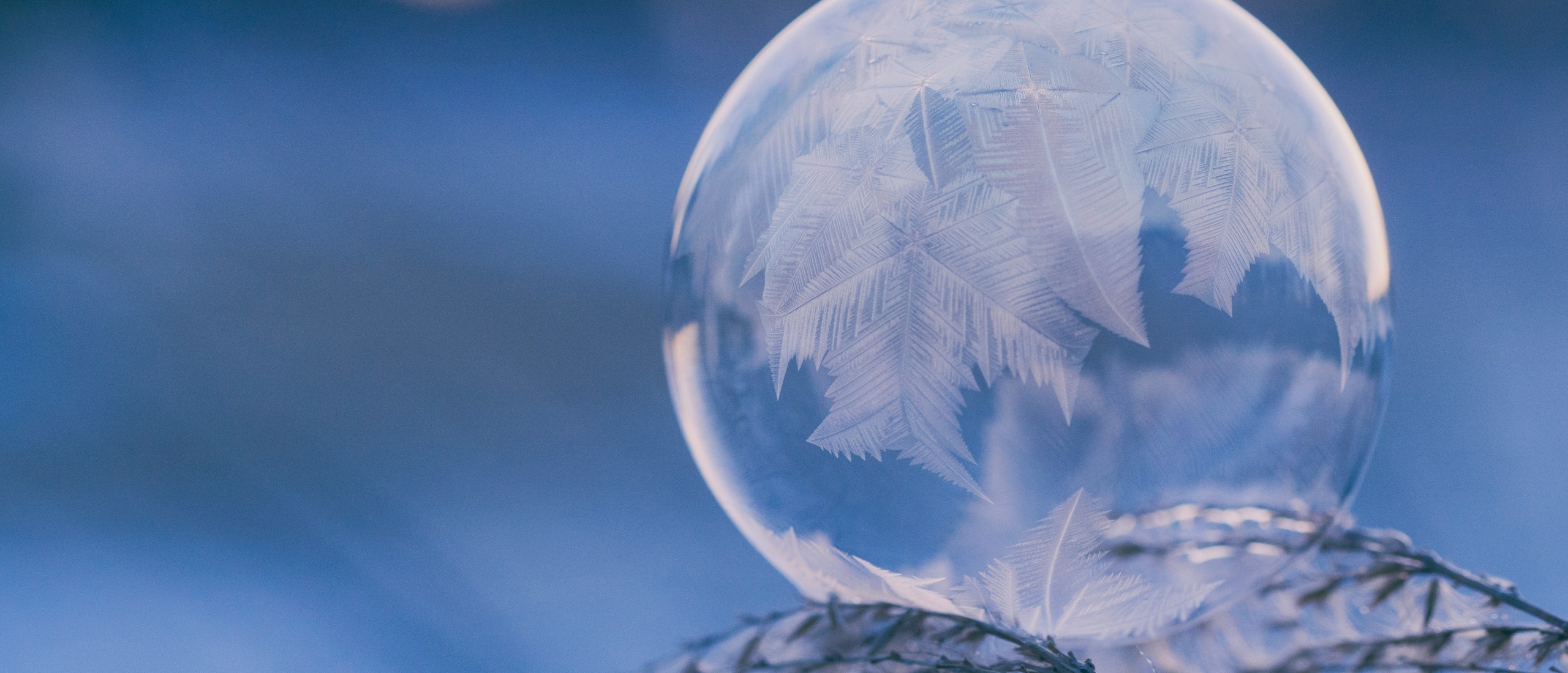 Afvallen in de winter: Gezond eten en kou niet vermijden