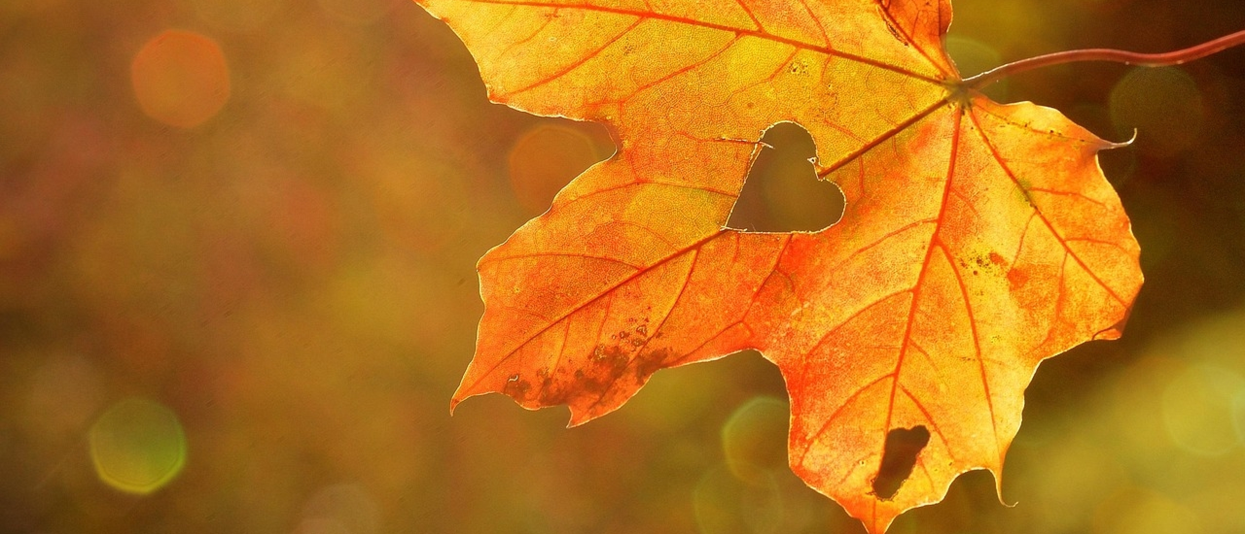 Laat los wat zwaar is, de herfst als jouw nieuwe begin