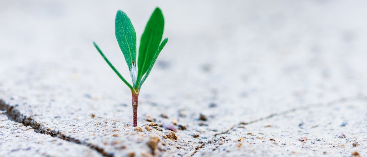 Growth hacking toepassen op je online business