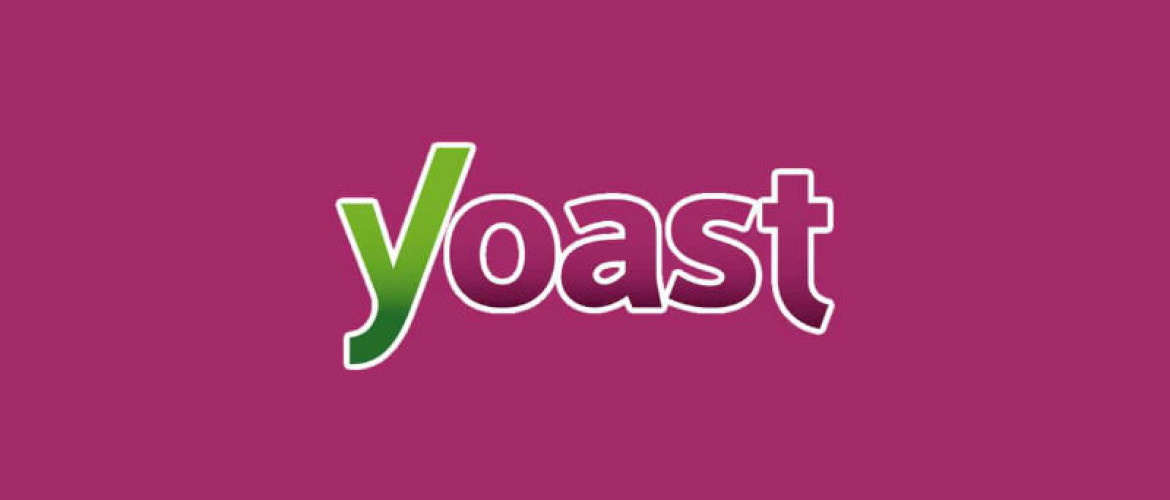 Hoe werkt de Yoast WordPress SEO plugin?