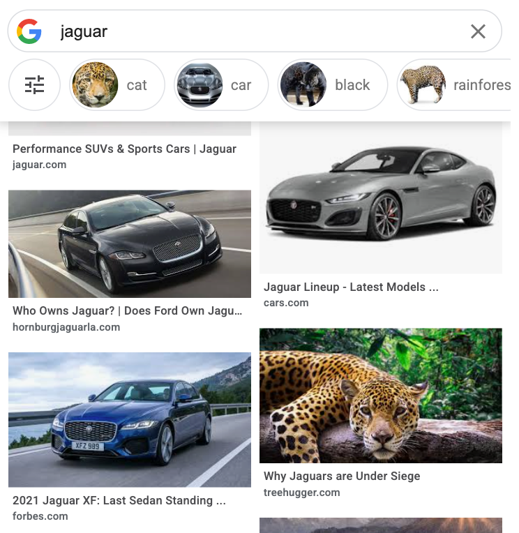 Google images jaguar voorbeeld