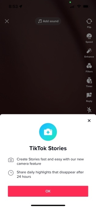 TikTok Stories screenshot