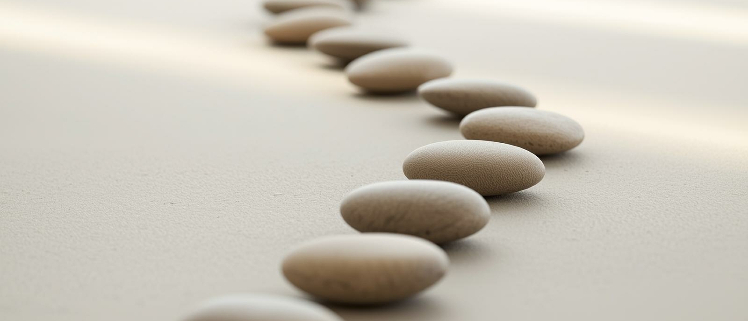 Verschil automatiseren en begrijpen - Artikel kennisbank Ina Terra