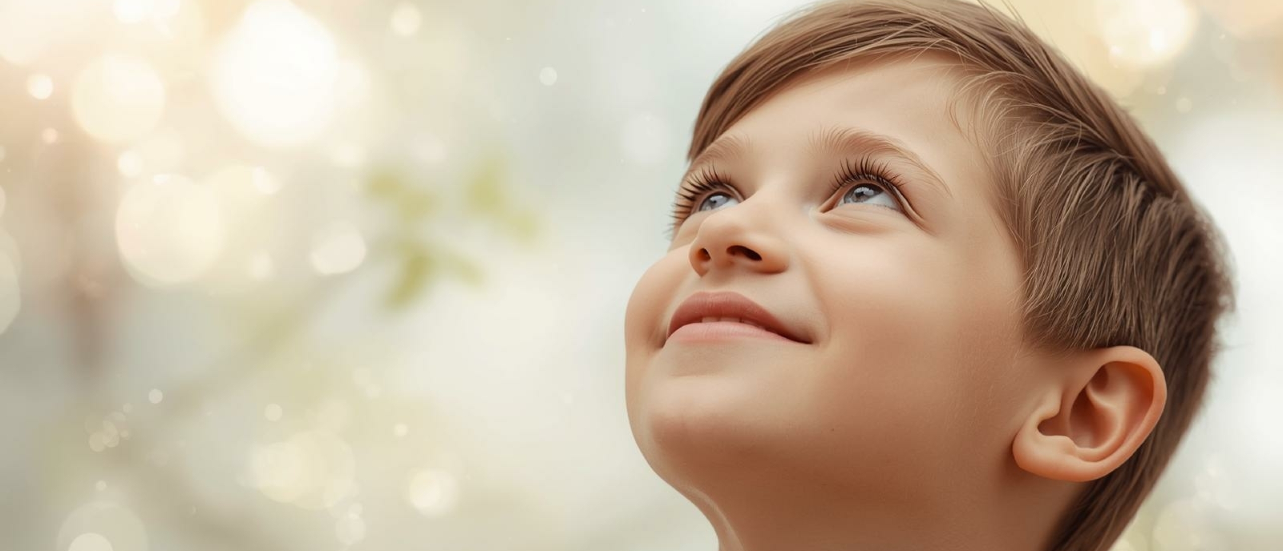 Brein en beelddenken - Artikel kennisbank Ina Terra