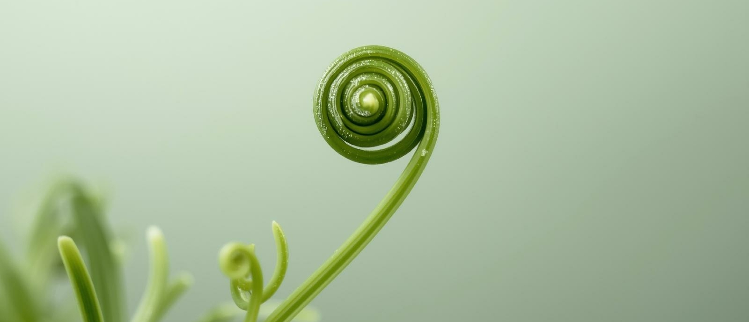 Cognitieve ontwikkeling - Artikel kennisbank Ina Terra