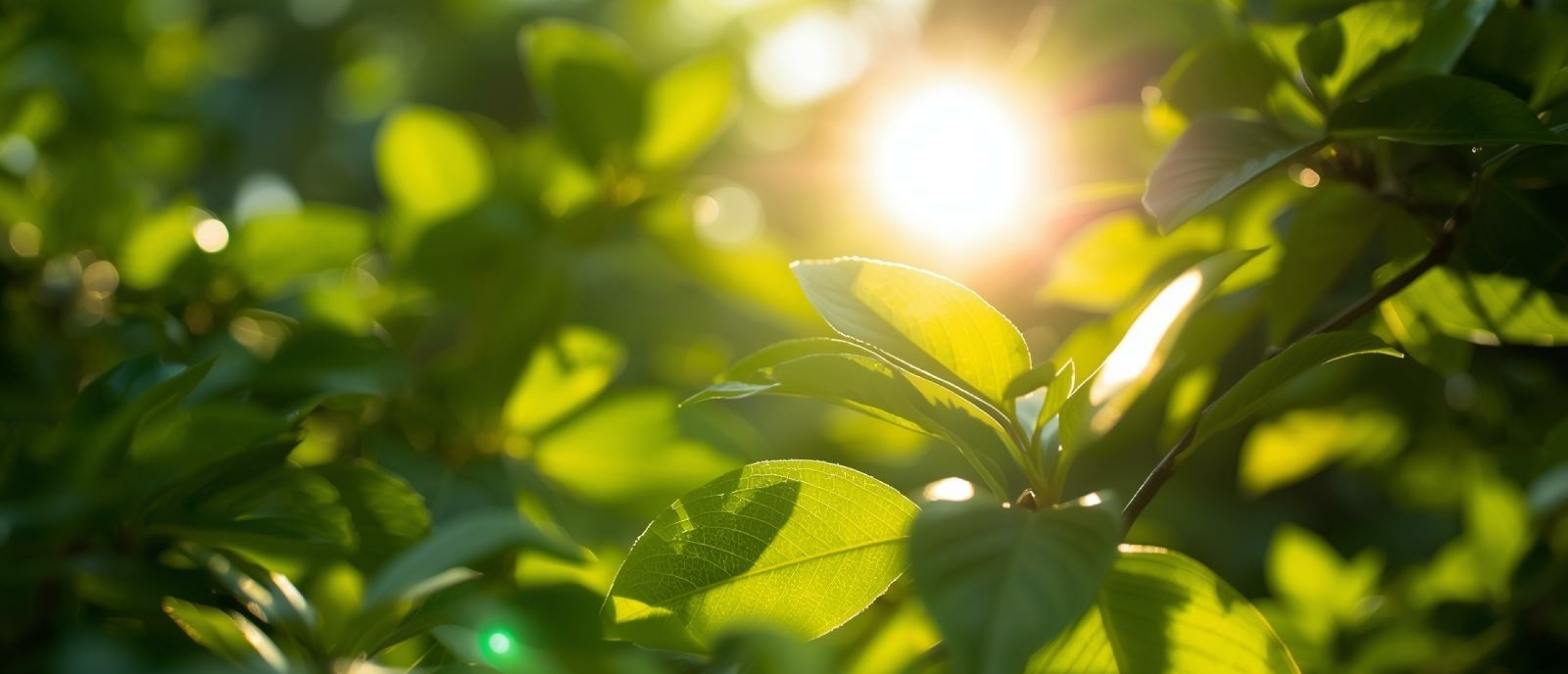 Emotionele ontwikkeling van kinderen - Artikel kennisbank Ina Terra