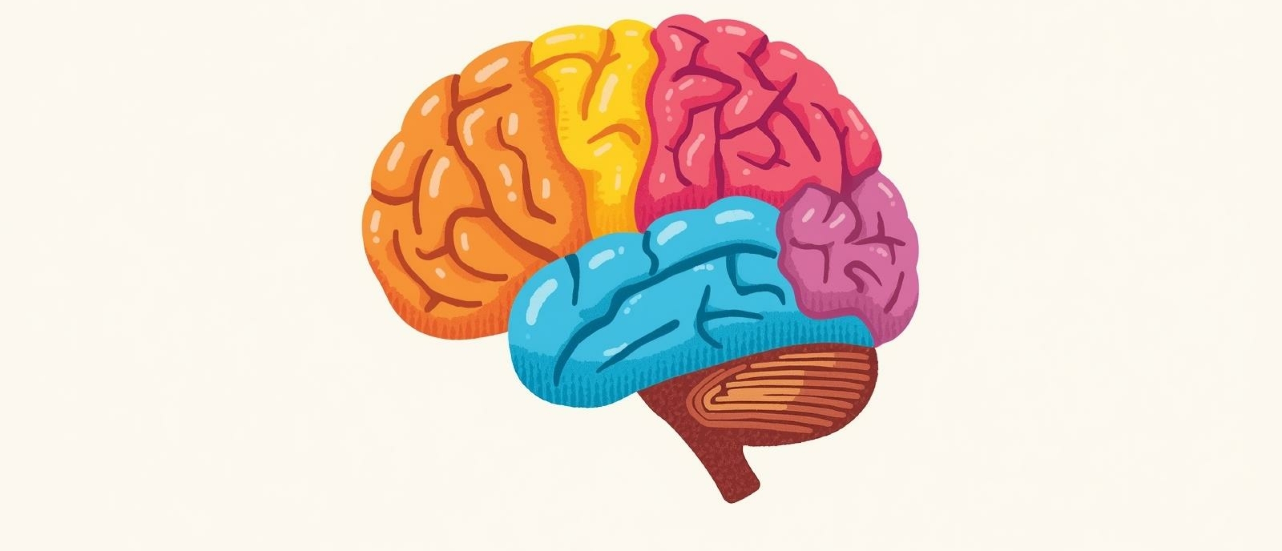 Hoe beinvloeden executieve functies leren? Hoe beinvloeden executieve functies leren?