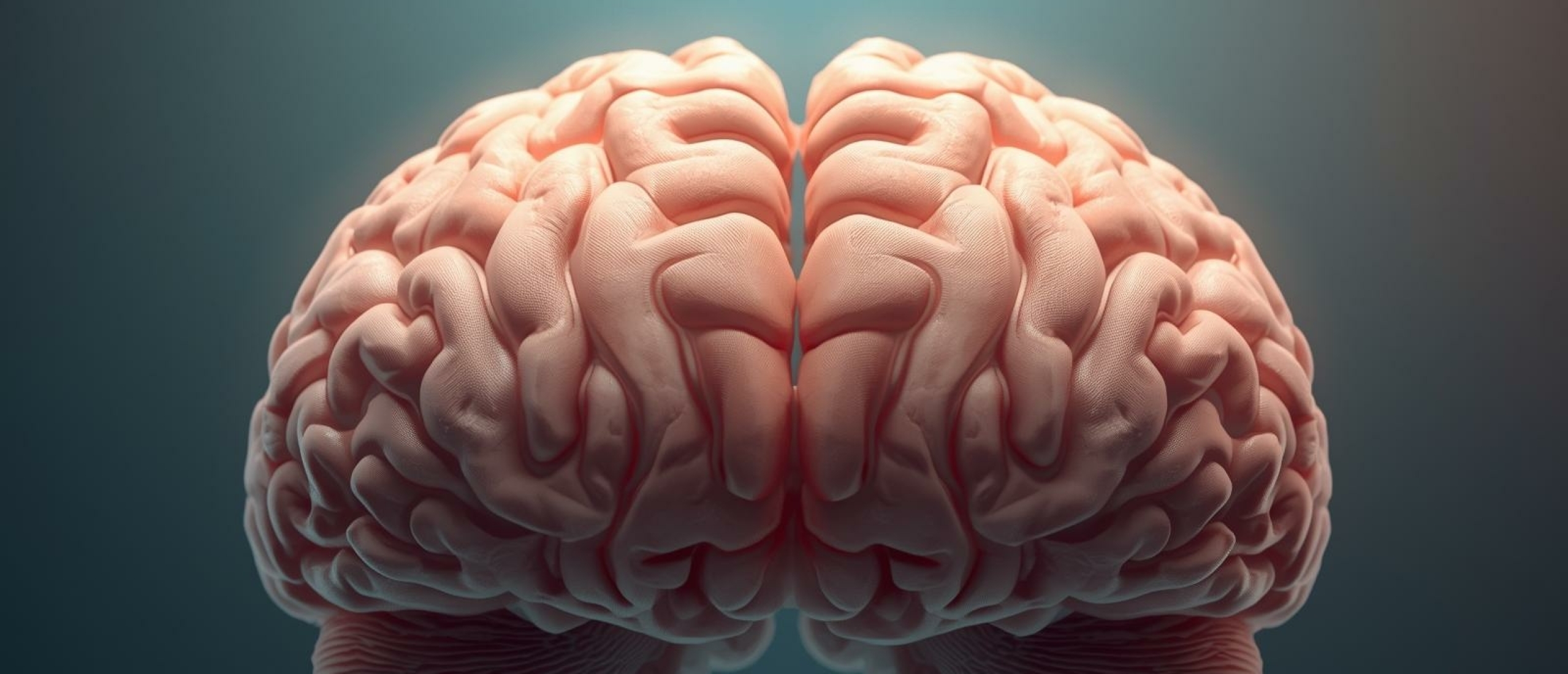 Wat zijn executieve functies