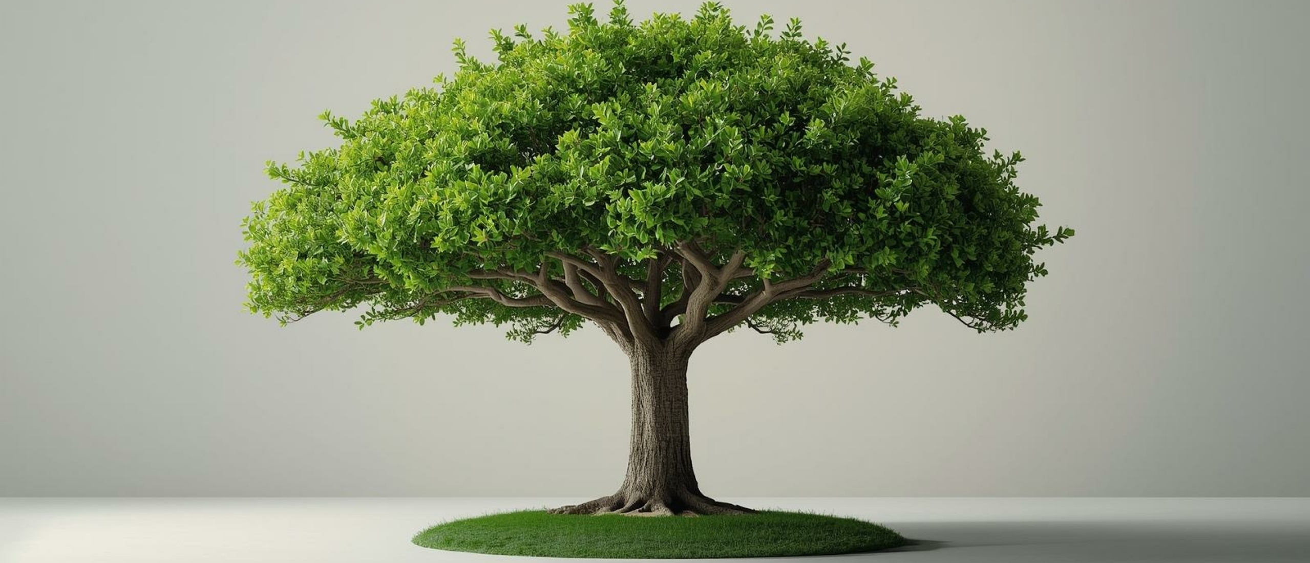 Executieve ontwikkeling - Artikel kennisbank Ina Terra