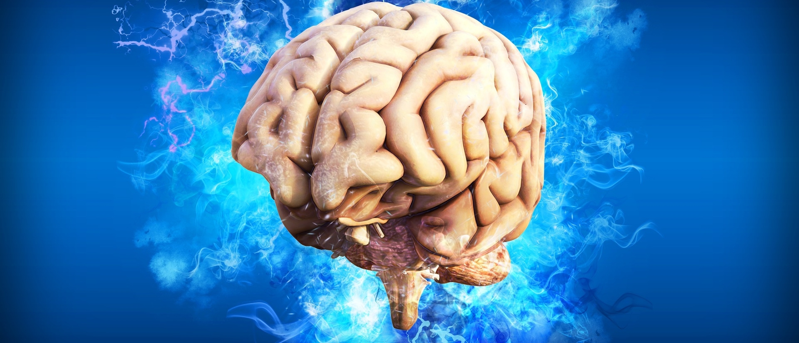 Taaldenken versus beelddenken Taaldenken versus beelddenken