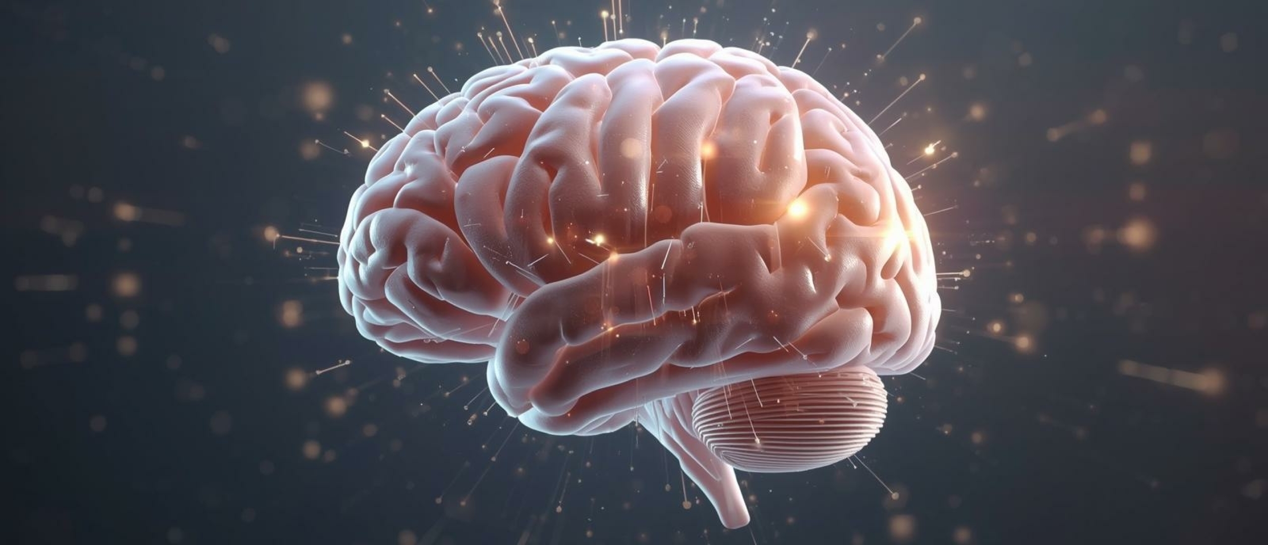 Hersenontwikkeling, tips ouders - Artikel kennisbank Ina Terra