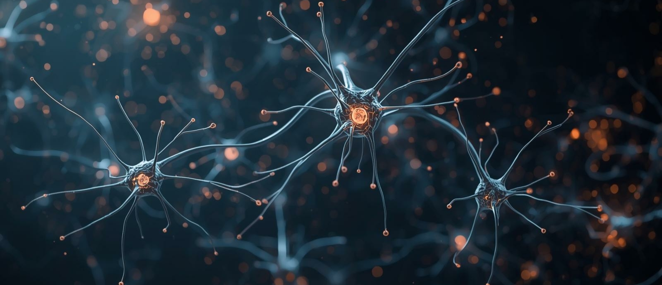 Hersenverbindingen - Artikel kennisbank Ina Terra