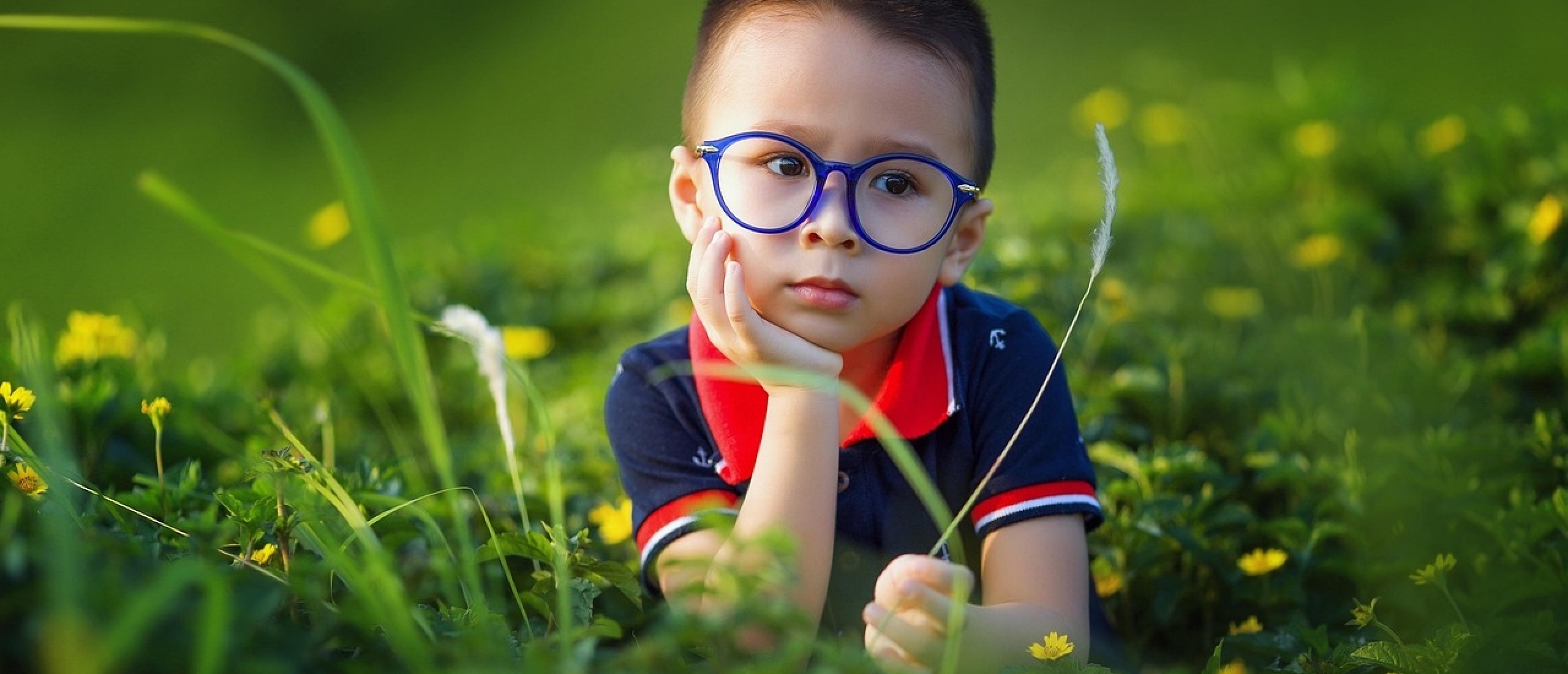 Categorie hooggevoeligheid - kennisbank Ina Terra Categorie hooggevoeligheid - kennisbank Ina Terra