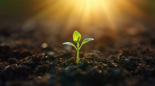 Een wereld om te leren