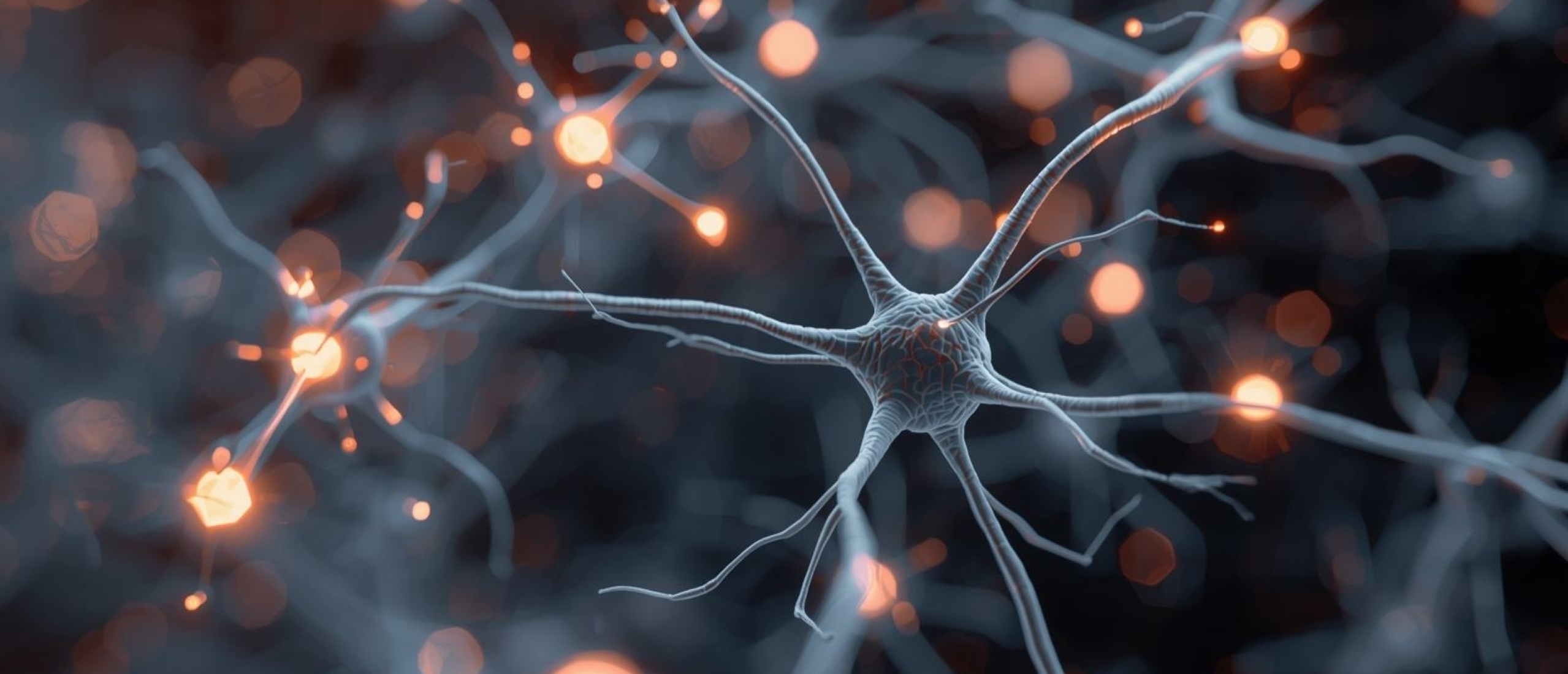 Neuronen, synapsen en verbindingen - Artikel kennisbank Ina Terra