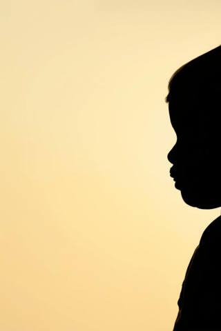 Mini cursus ontwikkelingsfasen Piaget Online cursus over de ontwikkelingsfasen van PIaget