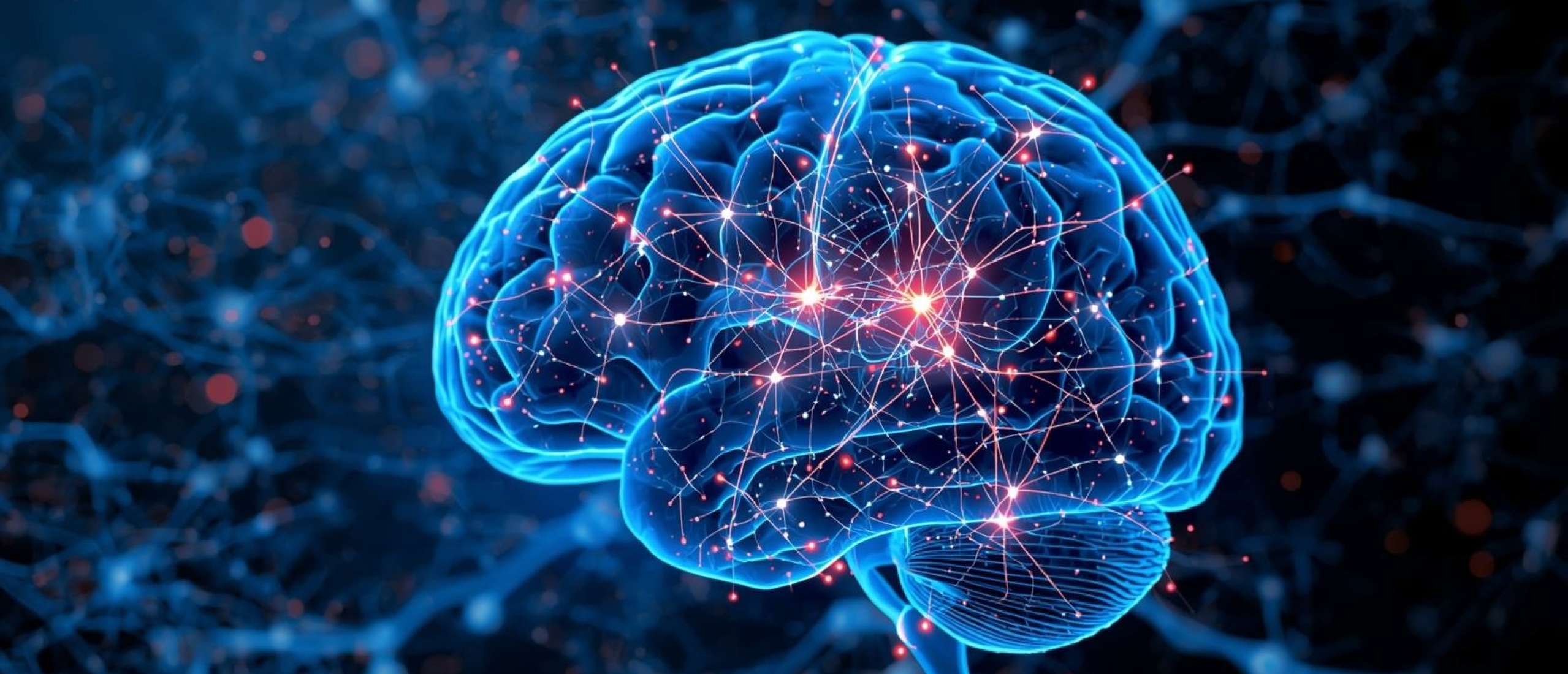 Hoe werkt prikkelverwerking in het brein? - Artikel kennisbank Ina Terra