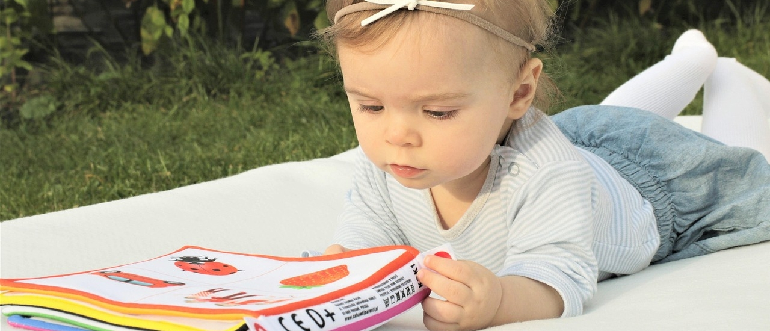 Overzicht van de belangrijkste primaire reflexen