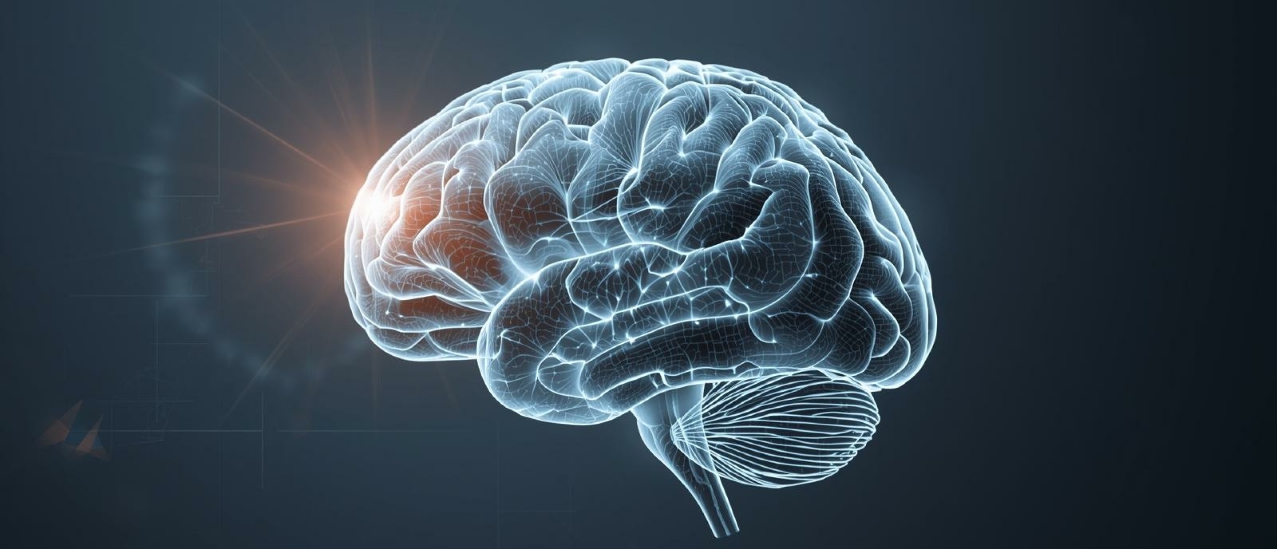 Rijping en timing - Artikel kennisbank Ina Terra