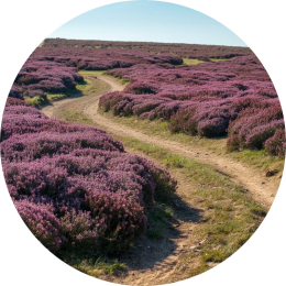 Anders denken en leren Wat betekent het als jouw kind anders denkt en leert?