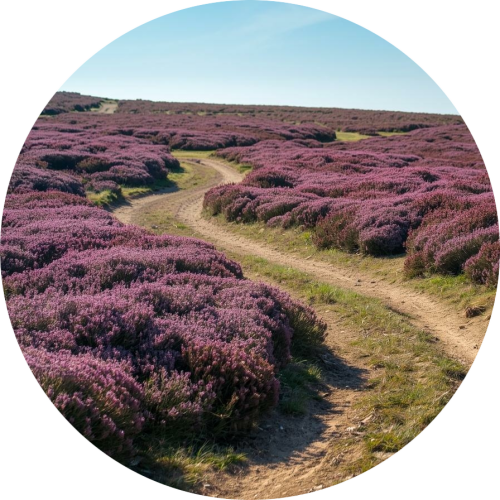 Wat betekent het als jouw kind anders denkt en leert?