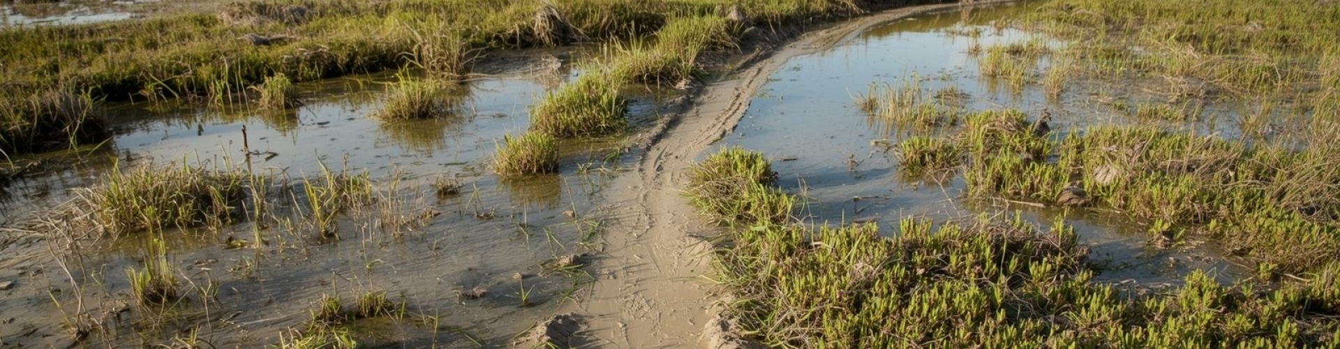 Automatiseren en tempo Wat zijn mogelijk oorzaken als kinderen automatiseren lastig vinden?