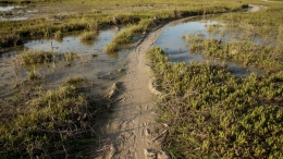 Wat zijn mogelijk oorzaken als kinderen automatiseren lastig vinden?