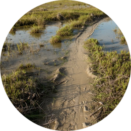 Wat zijn mogelijk oorzaken als kinderen automatiseren lastig vinden?