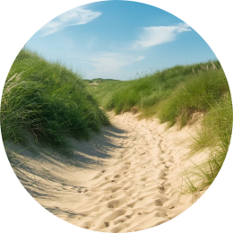 Concentratie en aandacht bij kinderen Mogelijke oorzaken voor concentratieproblemen