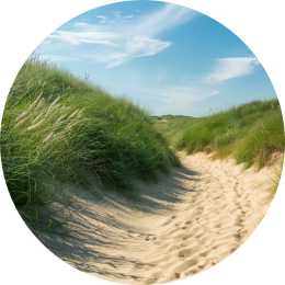 Mogelijke oorzaken voor concentratieproblemen