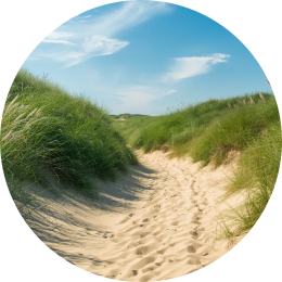 Mogelijke oorzaken voor concentratieproblemen