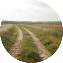 Welke oorzaken kunnen spelen als kinderen niet gemotiveerd zijn voor school?