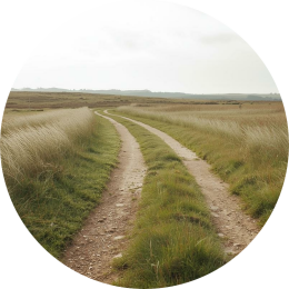 Motivatieproblemen kinderen school Welke oorzaken kunnen spelen als kinderen niet gemotiveerd zijn voor school?