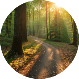 Overbelasting en vermoeidheid bij kinderen Mogelijke oorzaken overbelasting en vermoeidheid bij kinderen