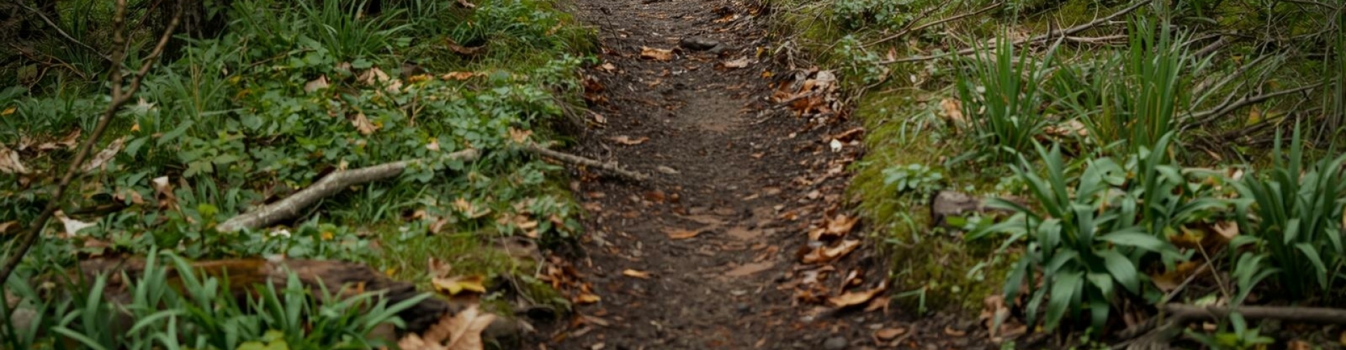 Plannen en organiseren Wat zijn mogelijke oorzaken van moeite met plannen en organiseren van kinderen?
