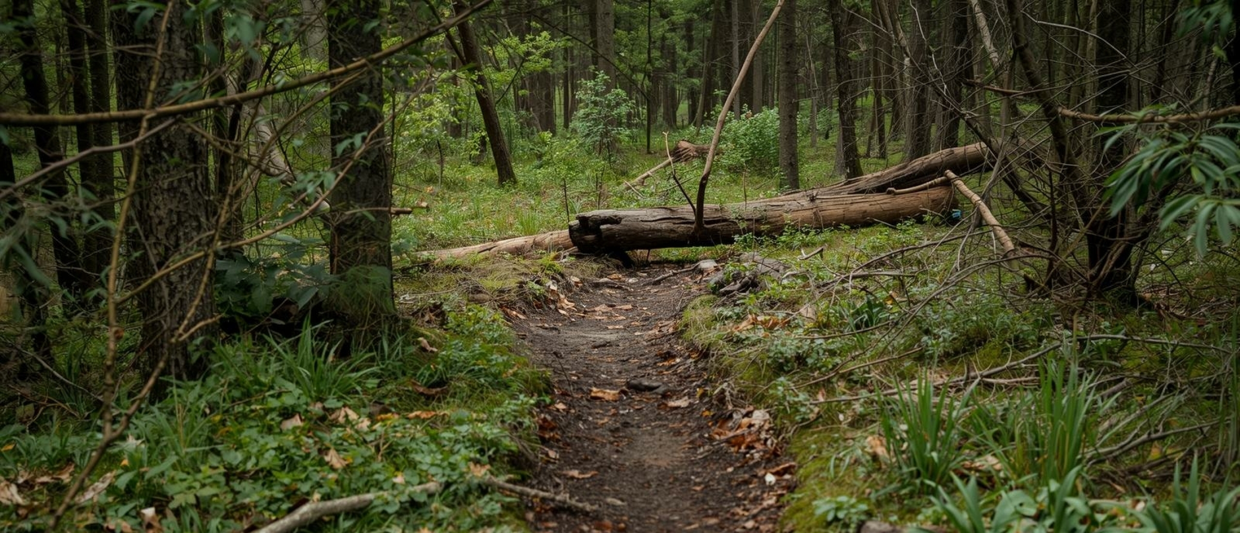Mijn kind kan niet plannen, wat ik ook probeer
