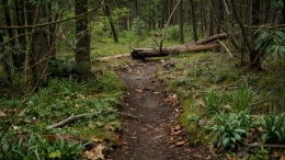 Wat zijn mogelijke oorzaken van moeite met plannen en organiseren van kinderen?