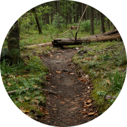 Wat zijn mogelijke oorzaken van moeite met plannen en organiseren van kinderen?