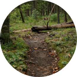 Plannen en organiseren Wat zijn mogelijke oorzaken van moeite met plannen en organiseren van kinderen?