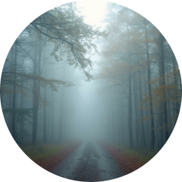 Taal en instructie verwerking Hij luistert wel maar doet iets anders.. wat als taal lastig is?