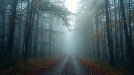 Hij luistert wel maar doet iets anders.. wat als taal lastig is?