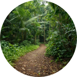 Werkgeheugen en cognitieve belasting Uitleg voor ouders over werkgeheugen en cognitieve overbelasting